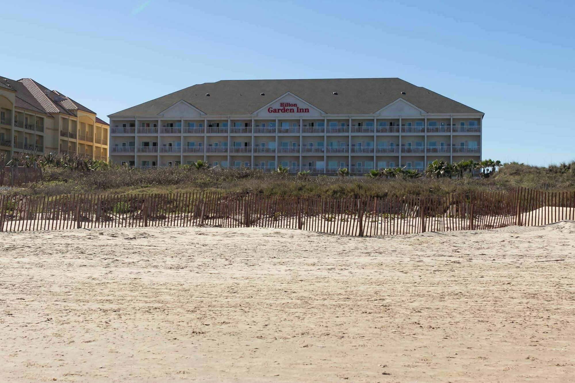 Hilton Garden