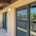 Tiki 243