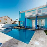 Blue Dolphin
