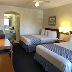 The Flamingo - South Padre Island