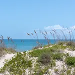 Birdies Landing At Butterfly Park Beach Access