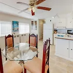 Sand Dollar Dreams