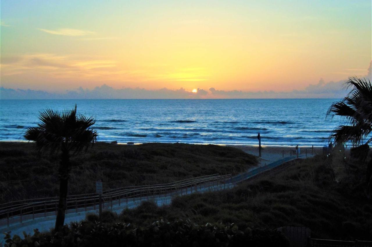 Apartment Sunny Oceanfront On *
