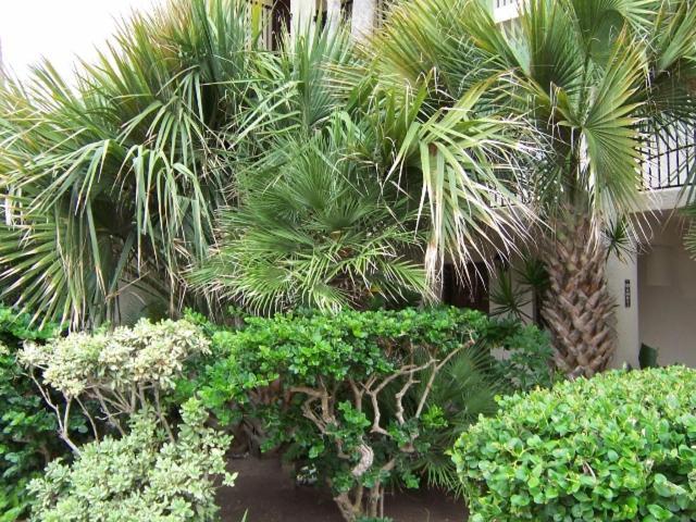 Beachside 2 Bedroom Sleeps 9 Holiday home