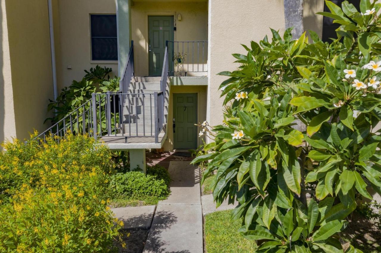 Spotless Updated With Pool - Habitat Unit 7 Apartment South Padre Island