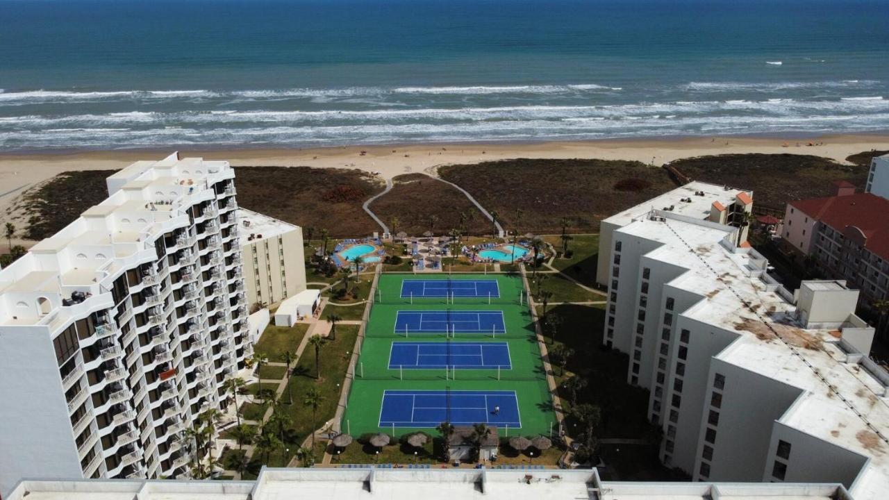 Apartment Beachfront Luxe With 2 Heated Pools - Saida 3-206