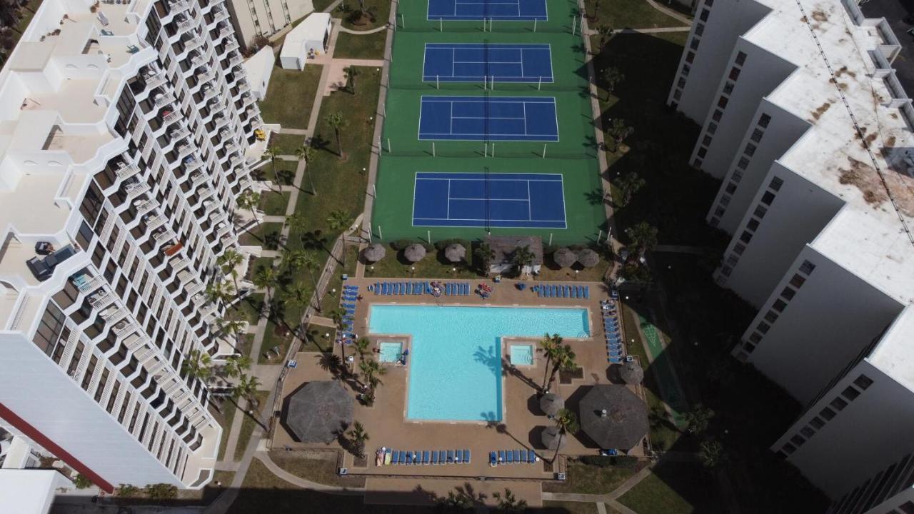 Apartment Beachfront Luxe With 2 Heated Pools - Saida 3-206 *