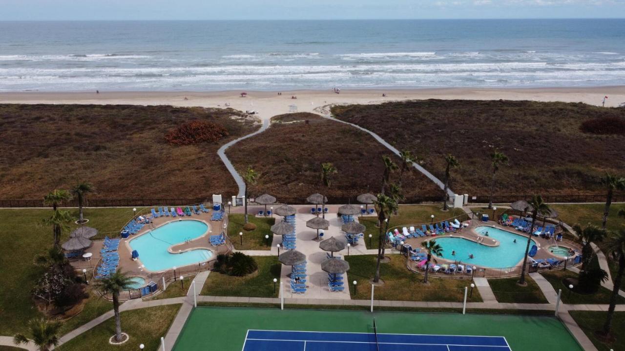 Beachfront With Heated Pool Saida Royale 9039 Apartment *