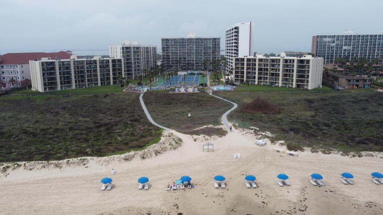 Apartment Beachfront With Heated Pool Saida Royale 9039 South Padre Island