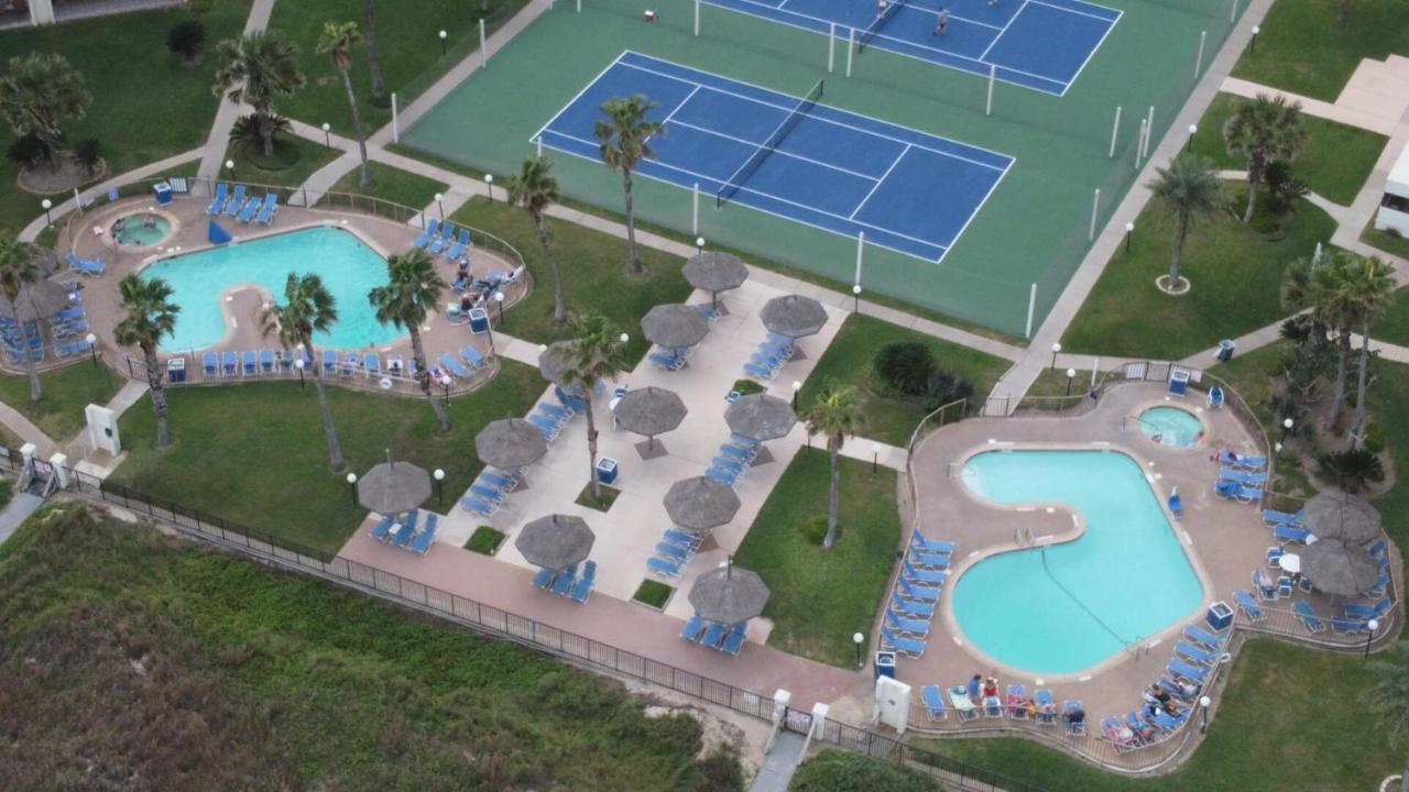 Apartment Beachfront With Heated Pool Saida Royale 9039