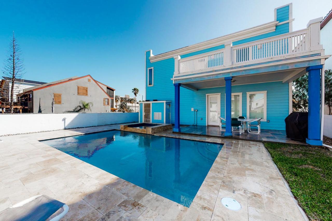 Blue Dolphin
