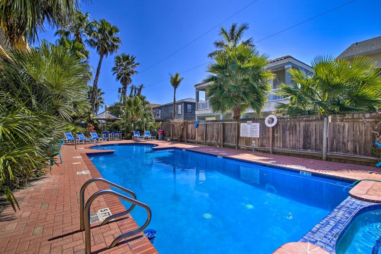Apartment Sunny Pool-view On South Padre Island!