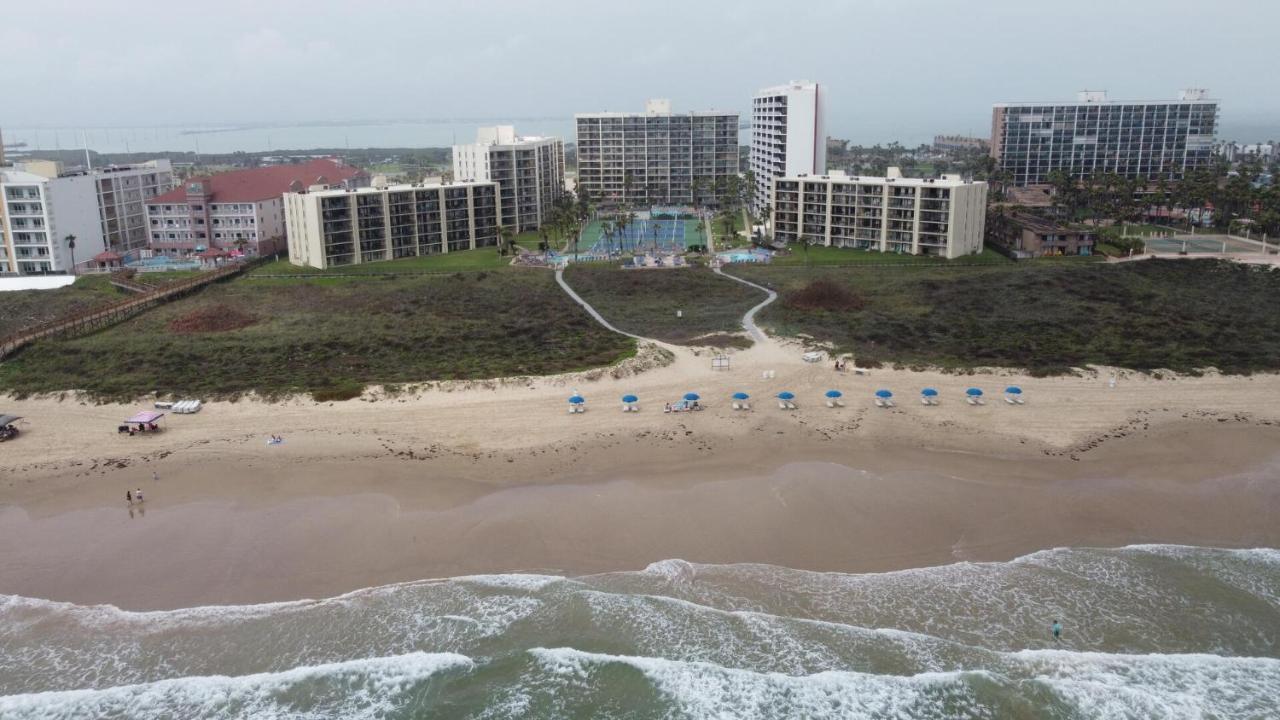 Beachfront With Heated Pool Saida Royale 9039