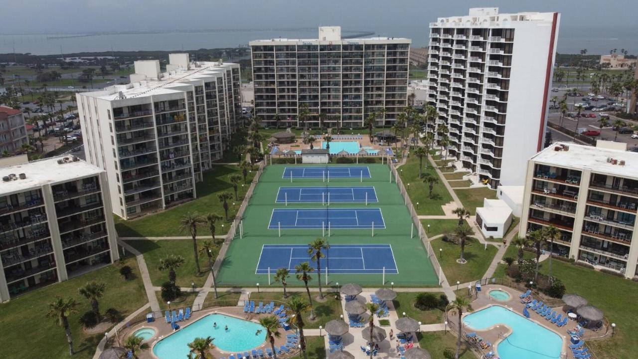Apartment Beachfront With Heated Pool Saida Royale 9039