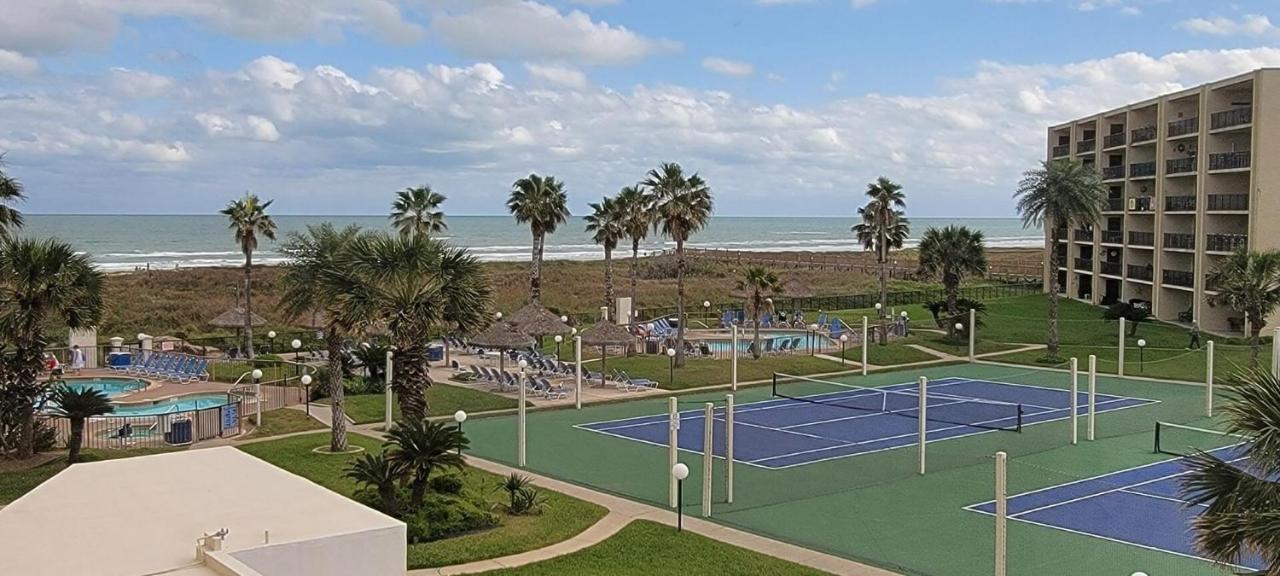 Apartment Beachfront With Heated Pool Saida Royale 9039
