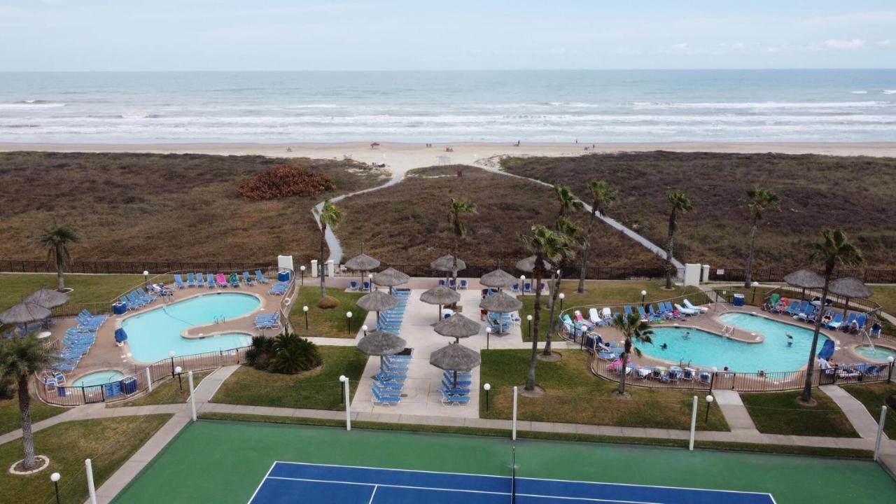 Apartment Beachfront With Heated Pool Saida Royale 9039 South Padre Island