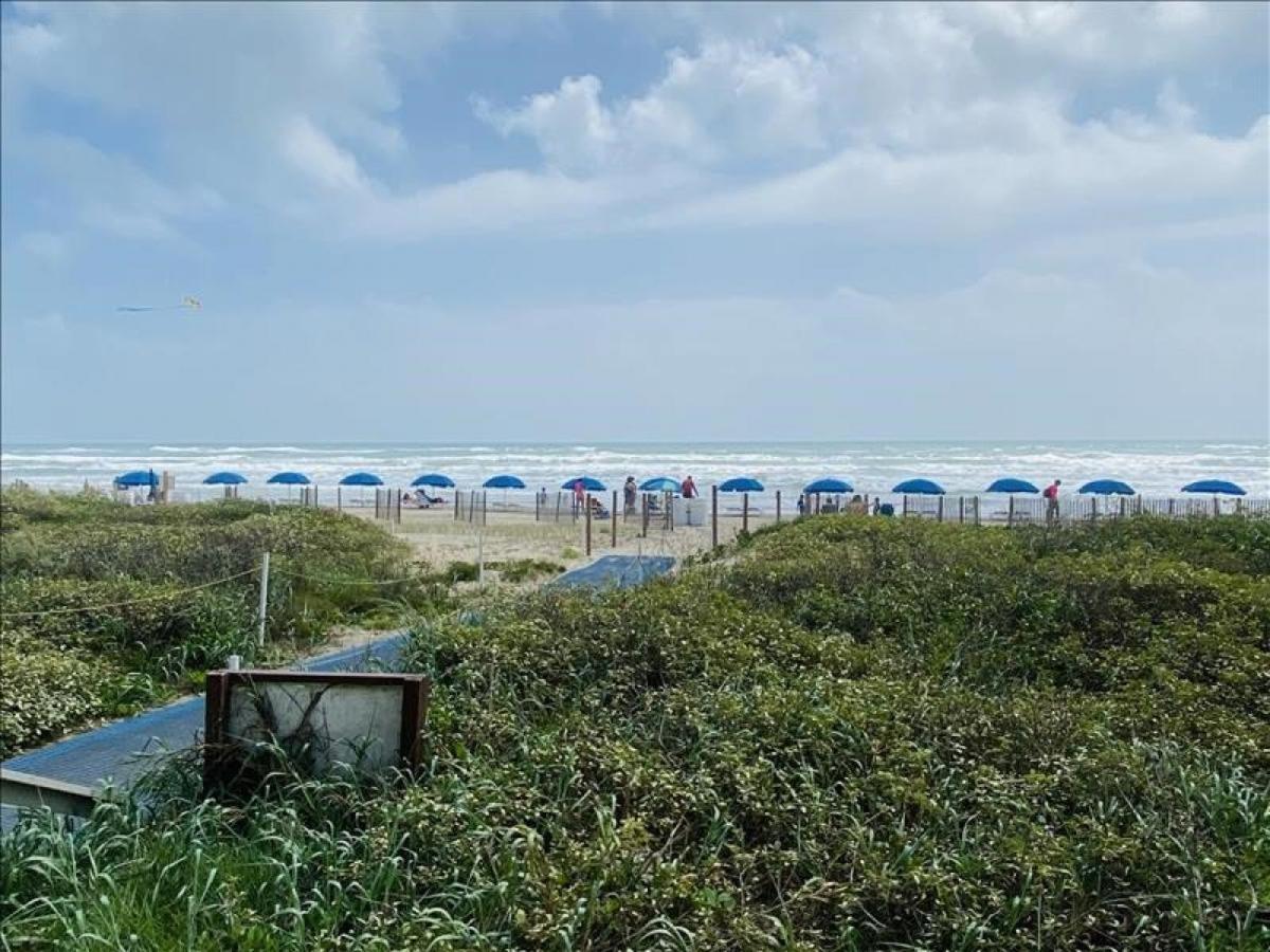 La Internacional O102 * South Padre Island