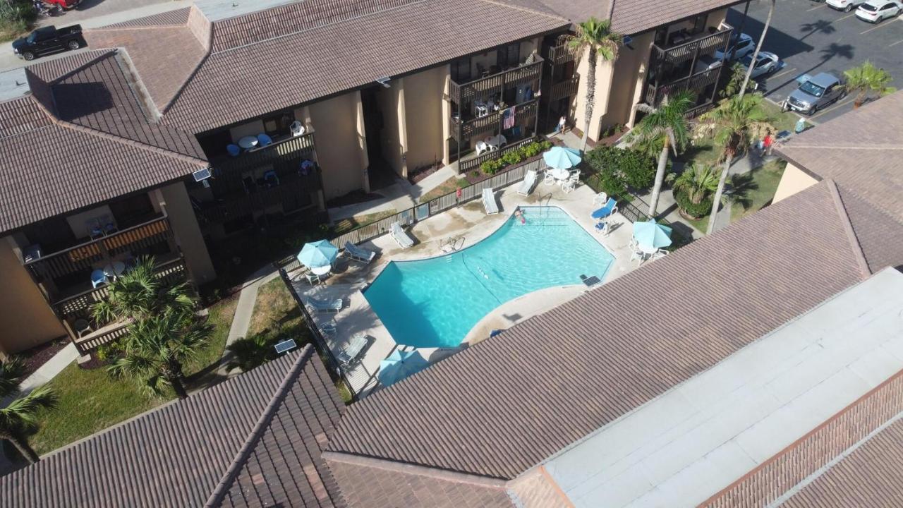 Tiki 261 *