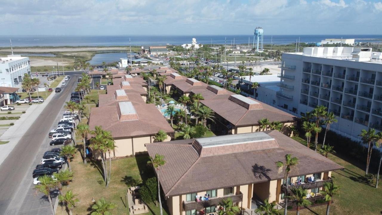 Tiki 261 *