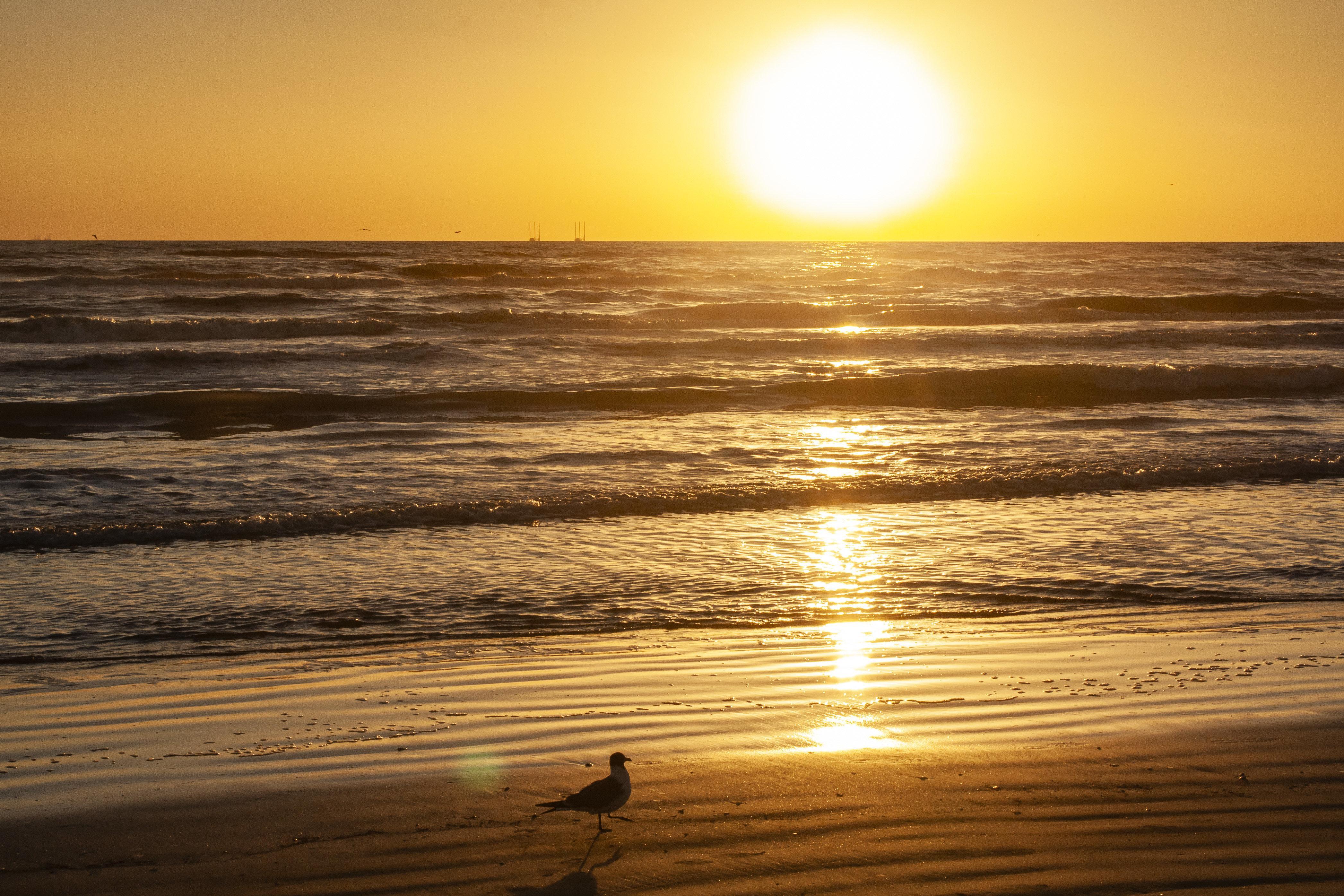 Hotel South Padre Island-beach Front By Ihg South Padre Island