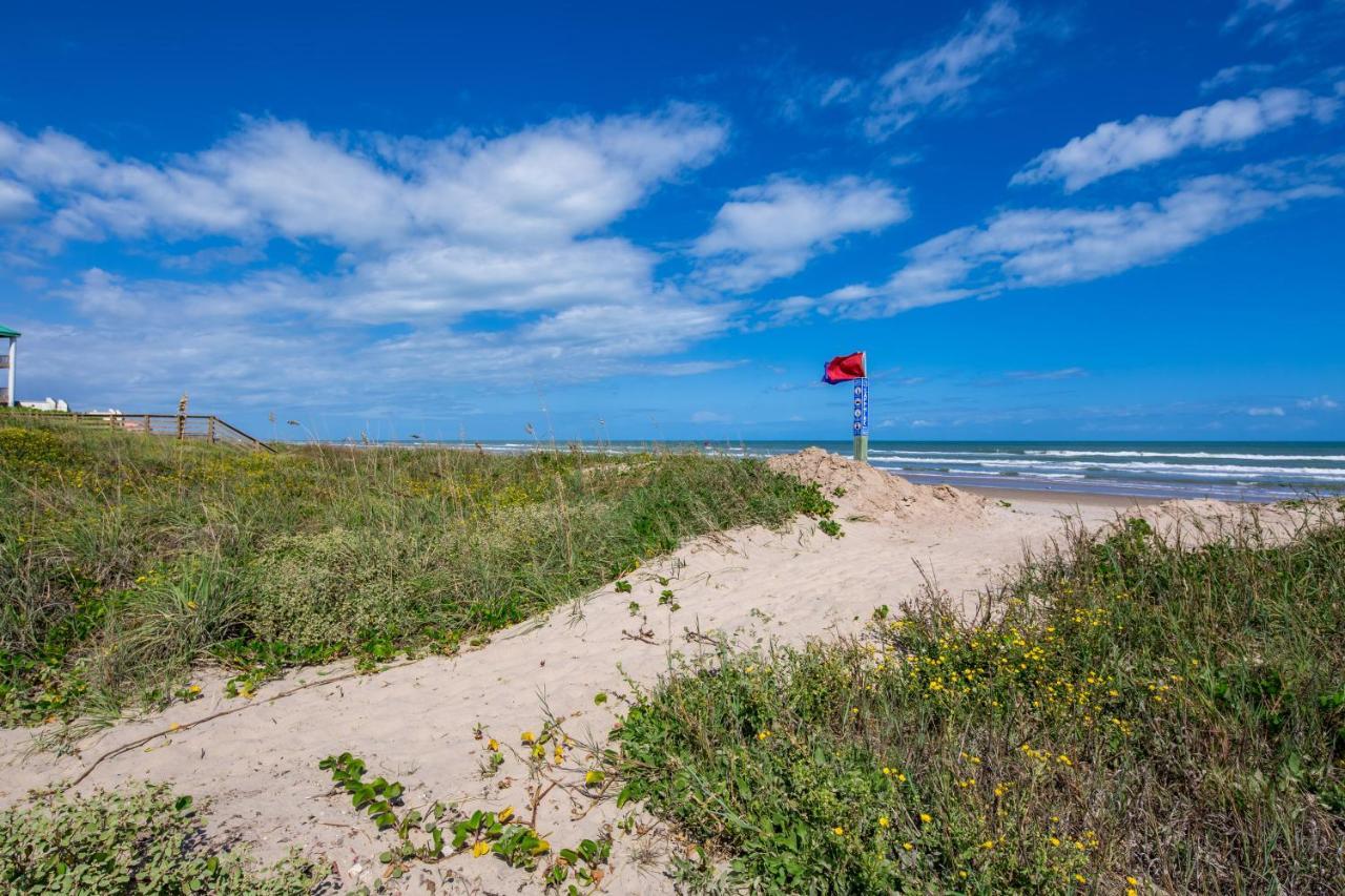 Habitat #2 * South Padre Island