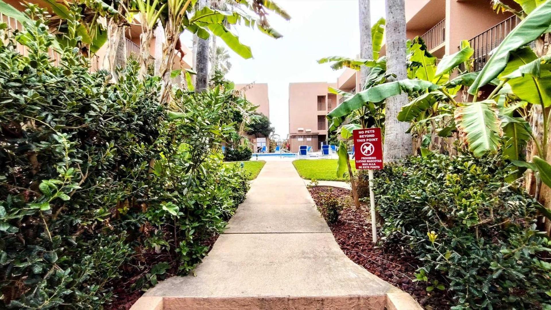 Beachview 103