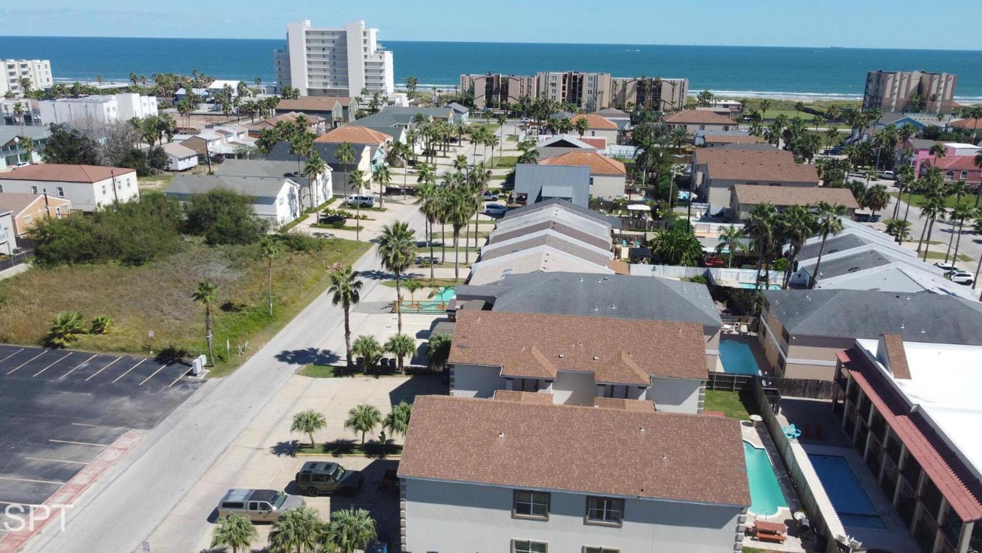 & Palms