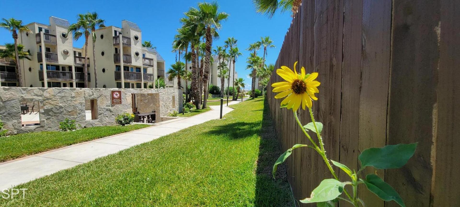 Holiday home Bahia Mar #426 *