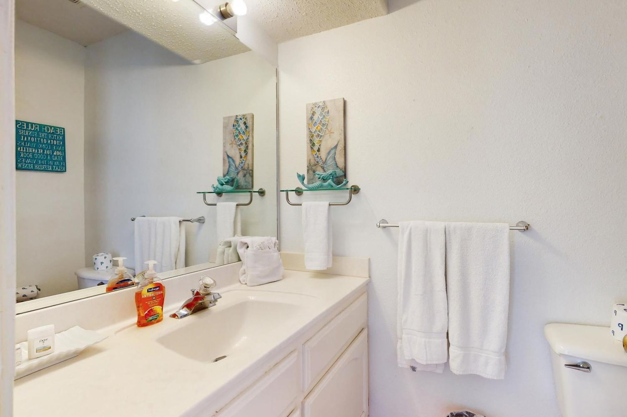 Dolphin #12 Apartment South Padre Island
