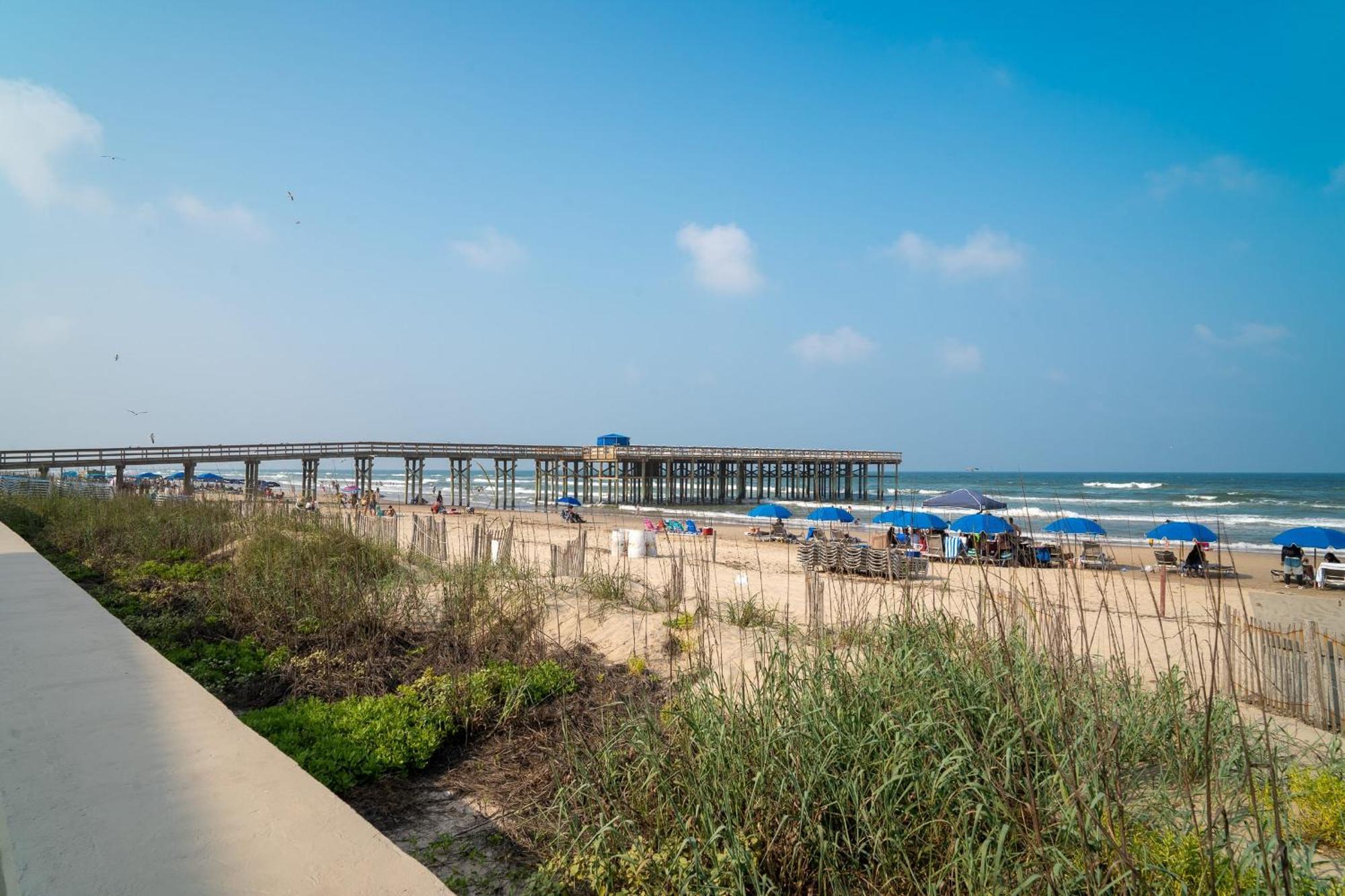 Apartment Kingfishers Retreat Serene 1br Escape With Balcony 207 *