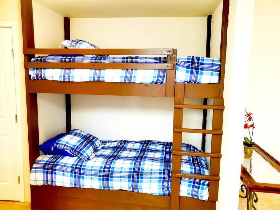 Apartment Sun Ray #1a - Pet Friendly, 3min Walk To Beach South Padre Island