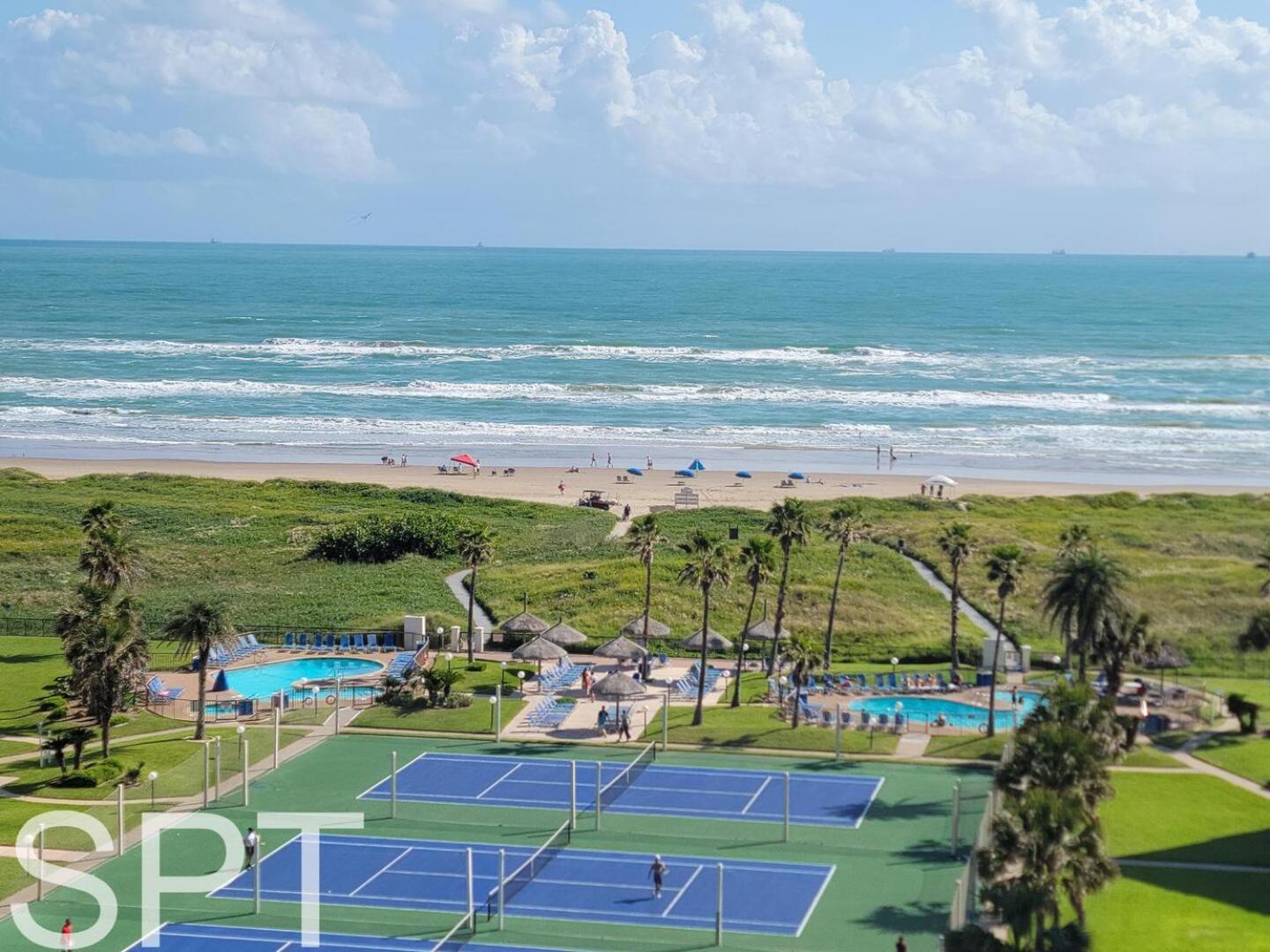 Saida Towers Iii - 3101
