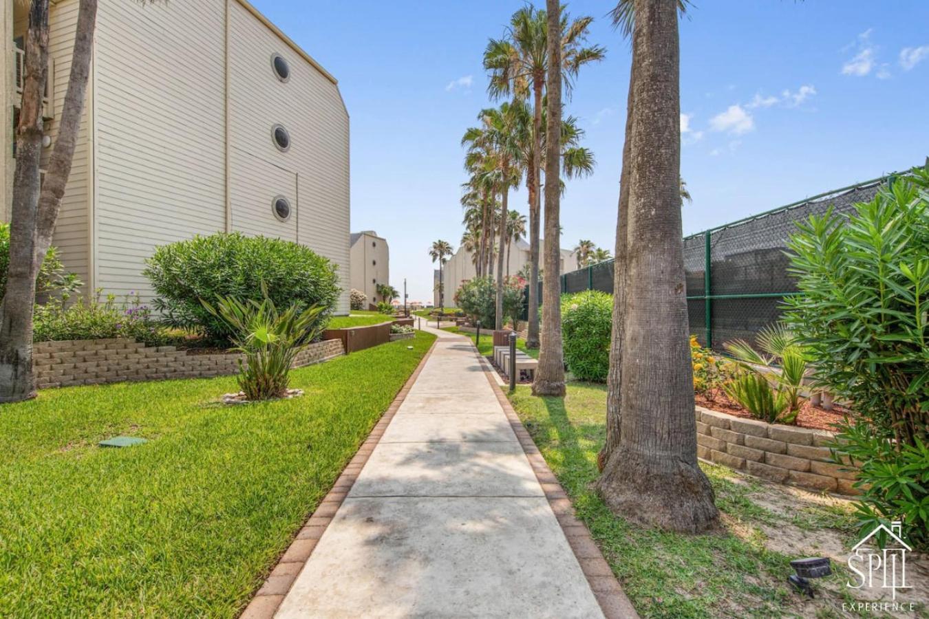 Apartment Solare Tower Sunset Panorama Paradise South Padre Island