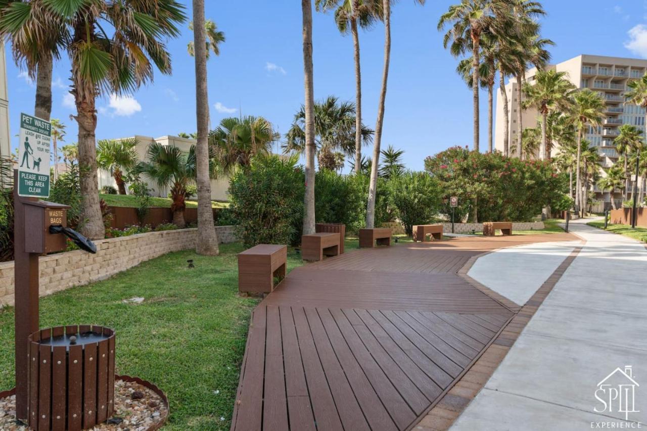 Bahiamar Luxury Oceanfront Oasis South Padre Island
