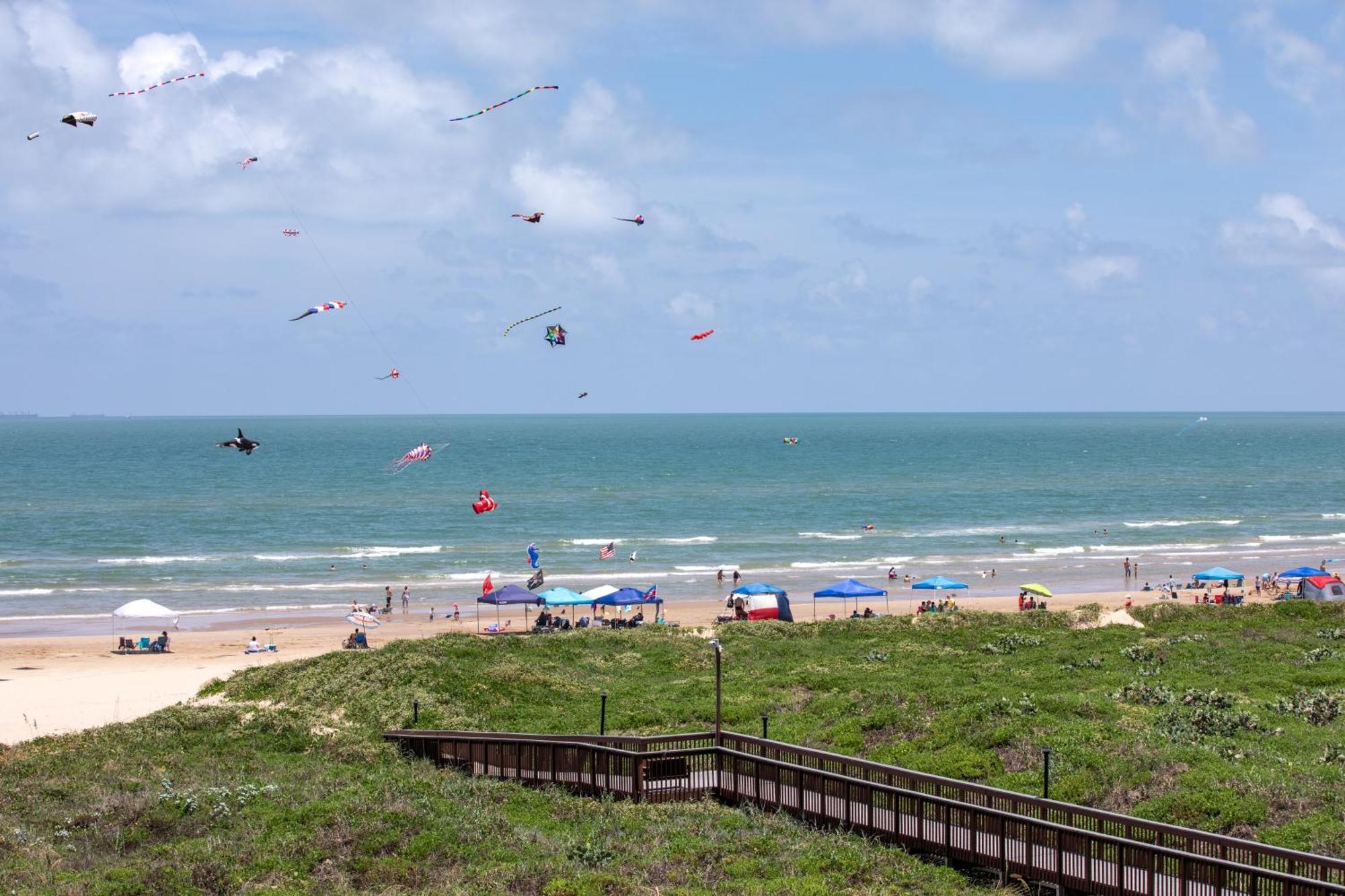 Birdies Landing At Butterfly Park Access South Padre Island
