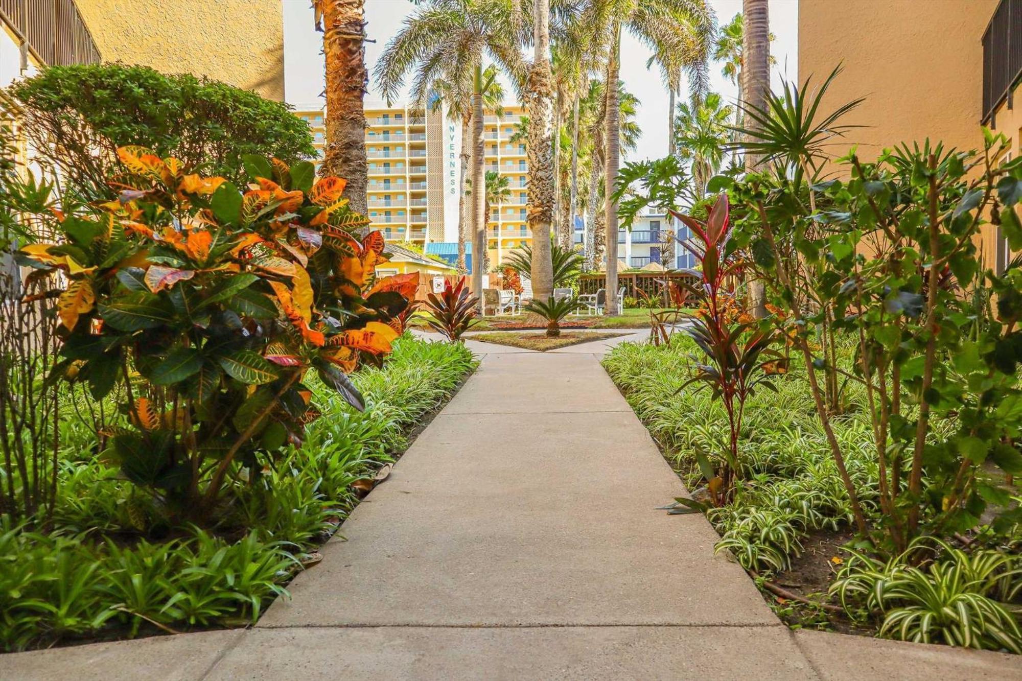 Surfside I 206 Apartment *