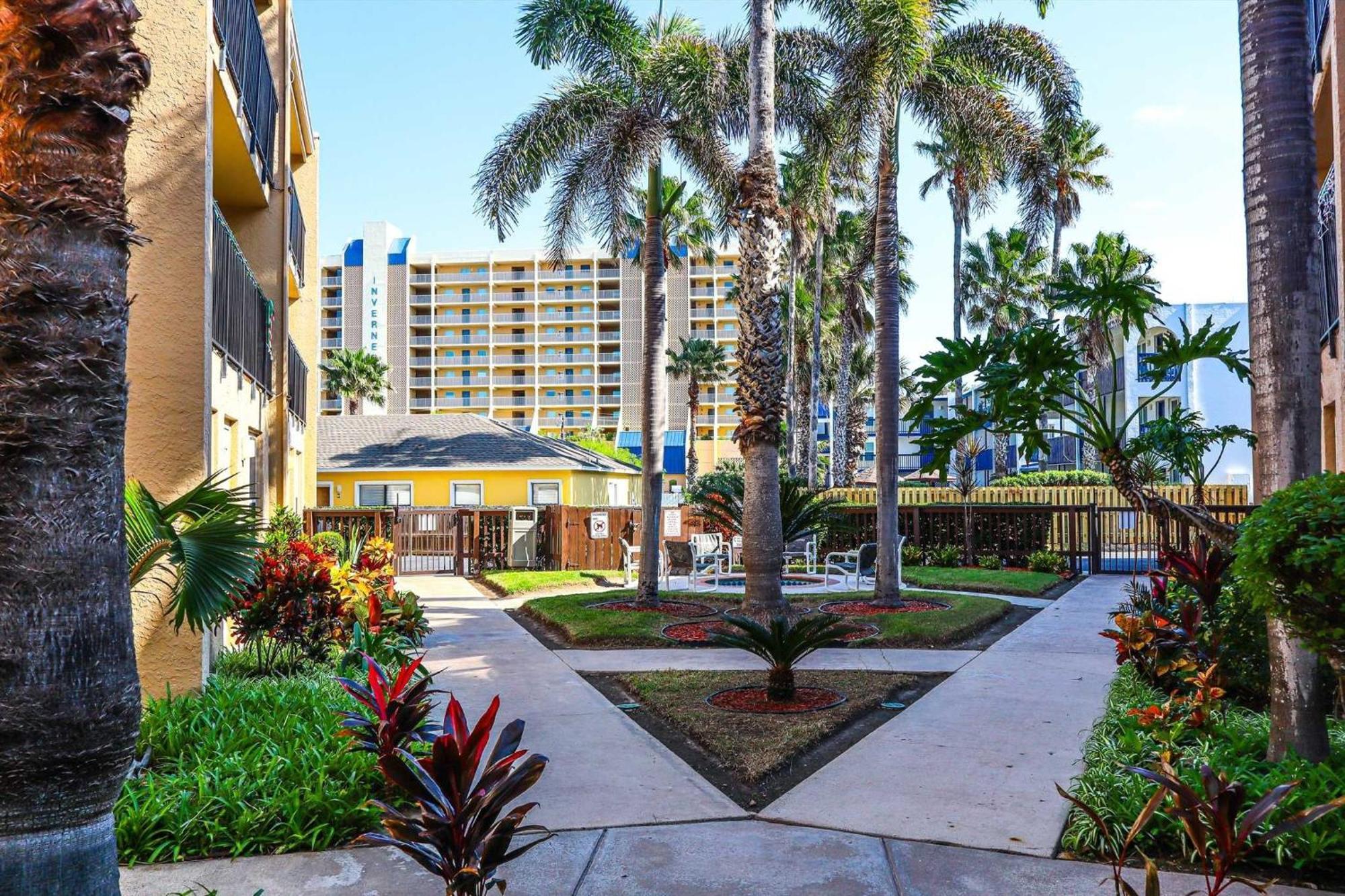Surfside I 310 Apartment South Padre Island