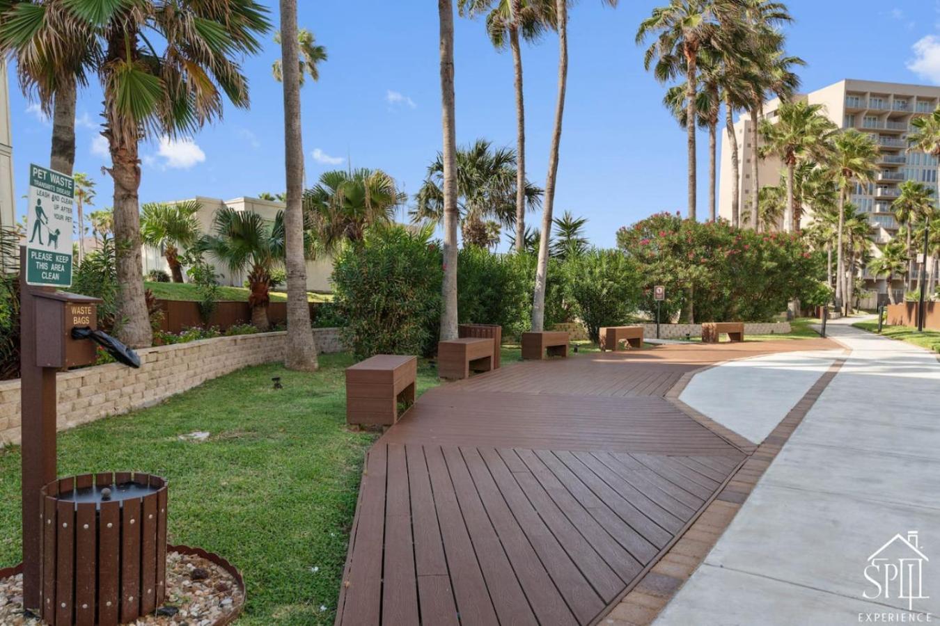 Amazing Oceanview Dream Getaway South Padre Island