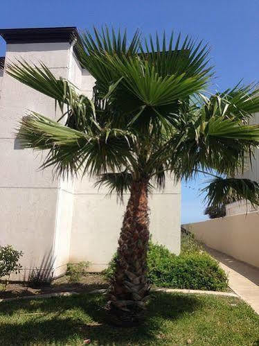 Sunchase Beachfront Hotel 4*