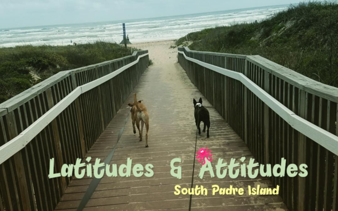 Gulf Coast Condominiums Apartment