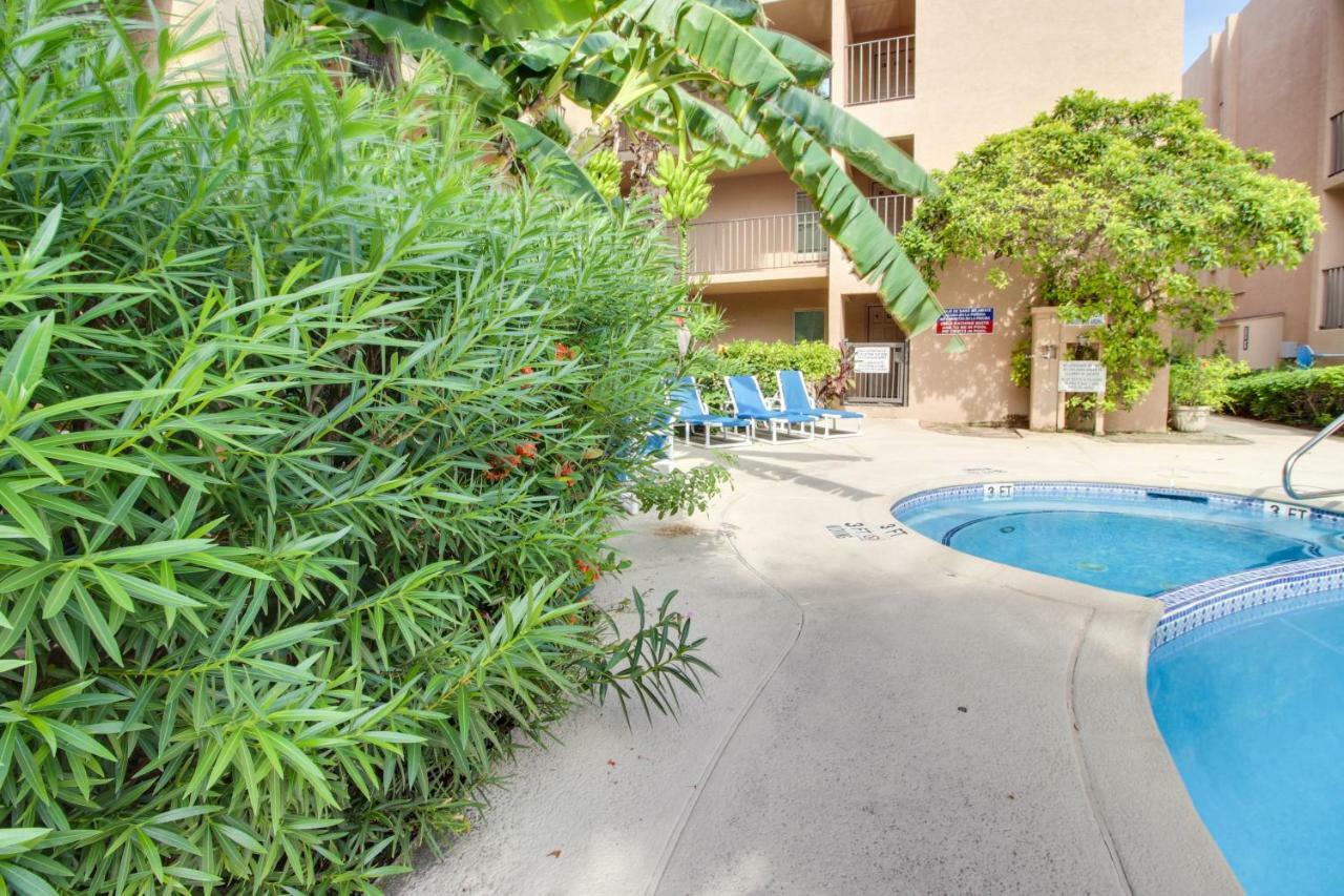 Apartment Beachview Condominiums: Wicker Wanderer South Padre Island