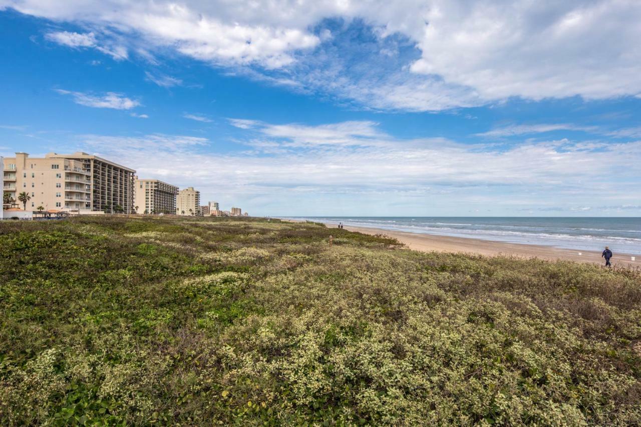 Beachview Condominiums: Wicker Wanderer *