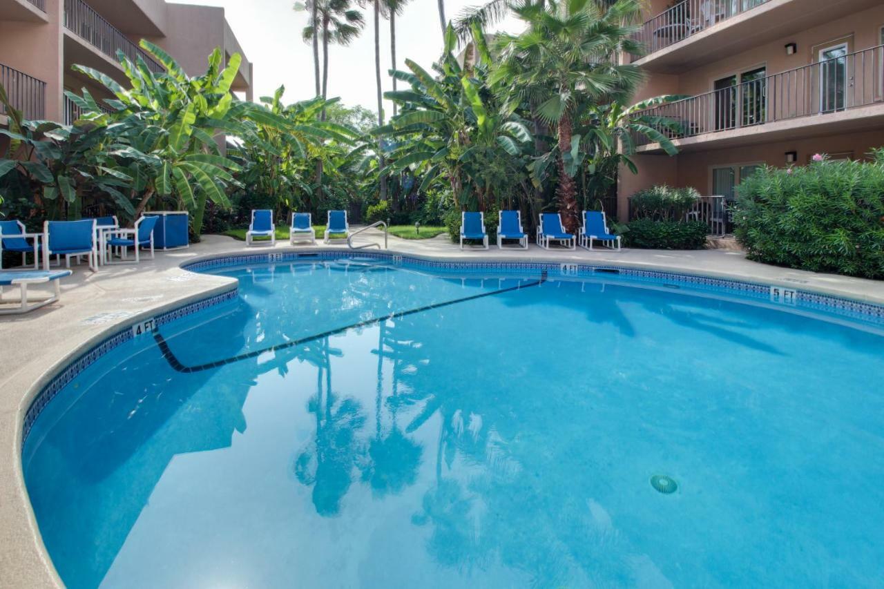 Beachview Condominiums: Wicker Wanderer South Padre Island
