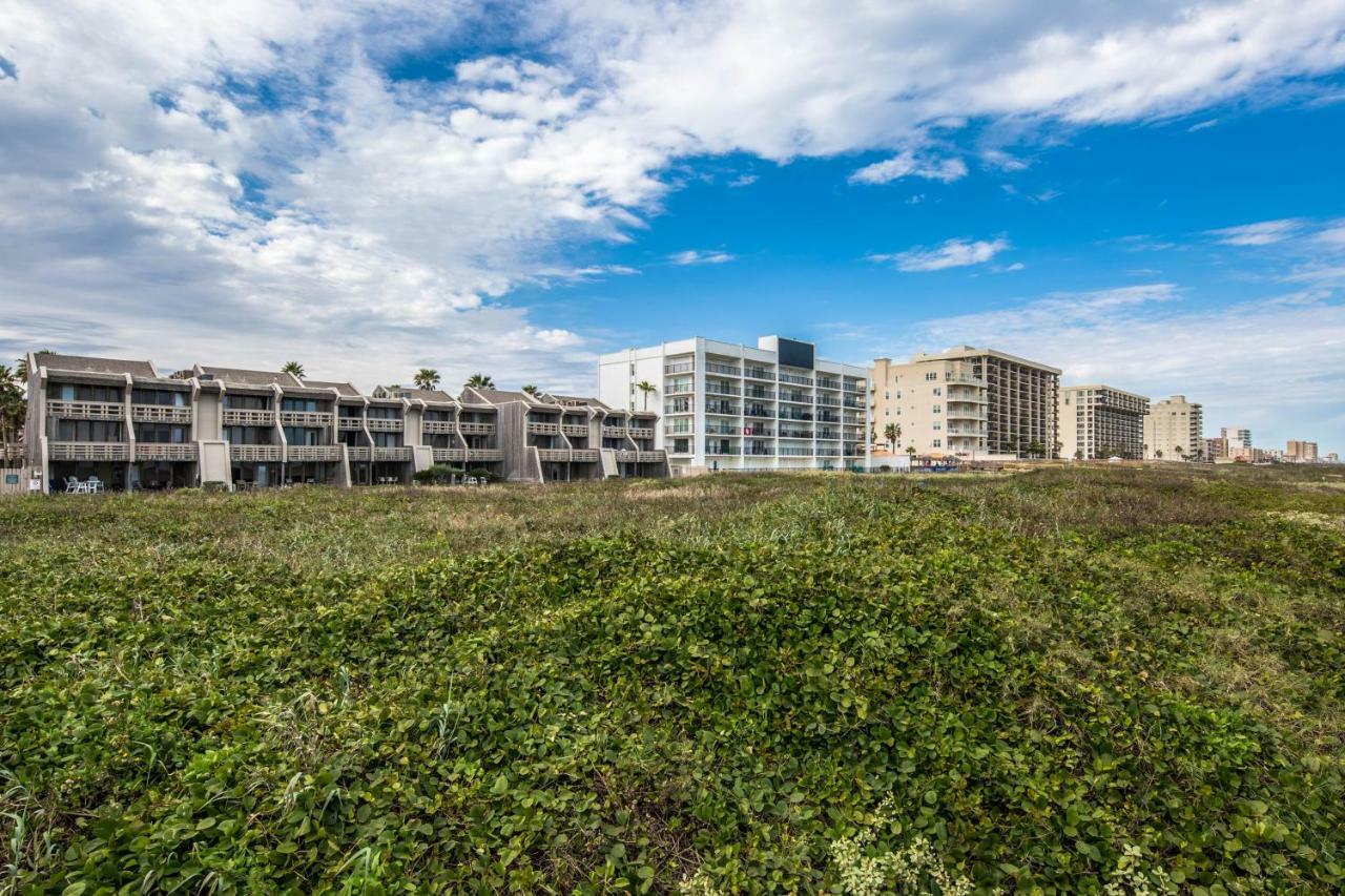 Palm Tree Escape Apartment South Padre Island