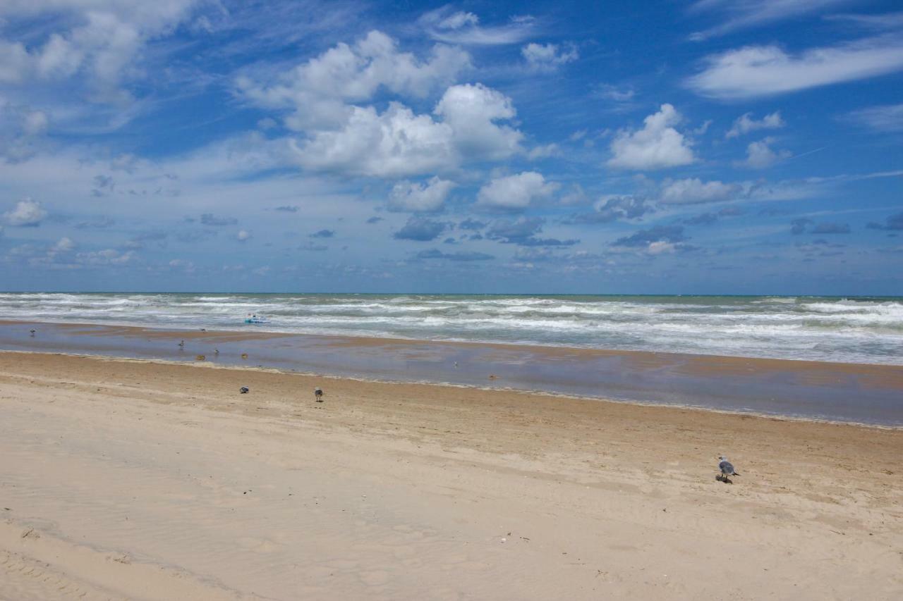 Palm Tree Escape * South Padre Island
