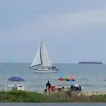 Dolphin Jump Steps To The Beach