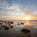 Campeche Cove #1