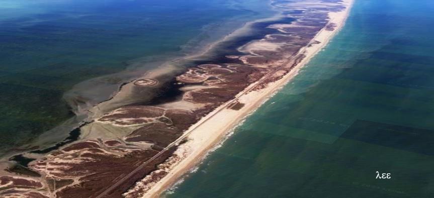 Apartment South Padre Stayz *