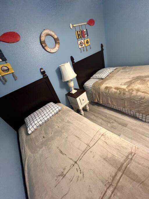 2 Bedroom Walk To The Apartment South Padre Island