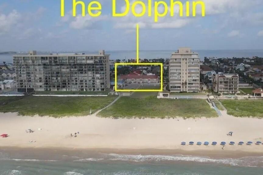 Apartment Dolphin Jump Steps To The *